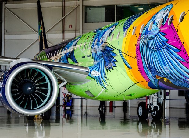O avião mais colorido da América do Sul tem o objetivo de conscientizar as pessoas sobre a importância da biodiversidade (Foto: Divulgação / Tintas Coral)
