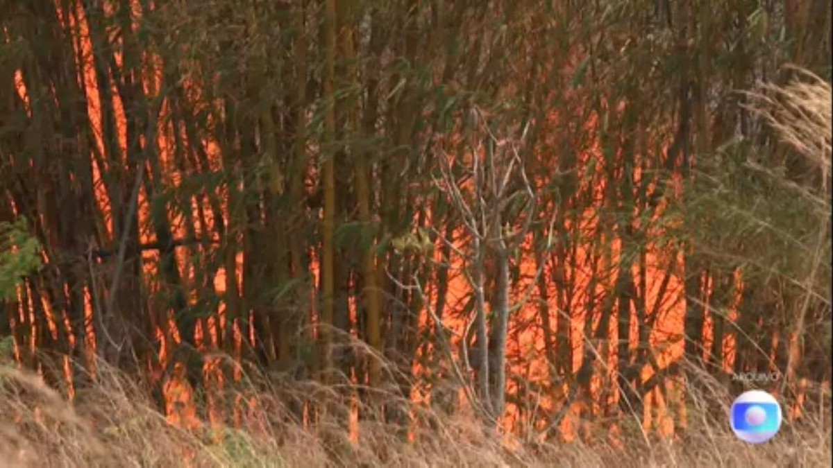 Em menos de um mês, queimadas consomem 25% do Parque Nacional de Brasília