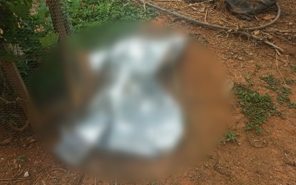 Corpo da mãe é encontrado em zona rural de Caldas Novas, Goiás — Foto: Reprodução/TV Anhanguera