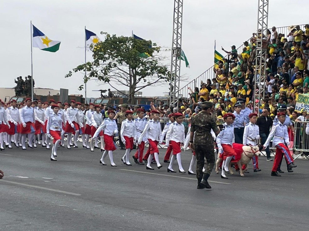Desfile de 7 de Setembro na Esplanada dos Ministérios, em Brasília — Foto: Walder Galvão/g1