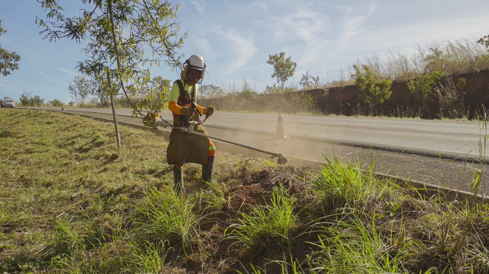 Equipes continuam serviços de roçagem às margens da BR-153, no sul do Tocantins — Foto: Divulgação/Ecovias Araguaia