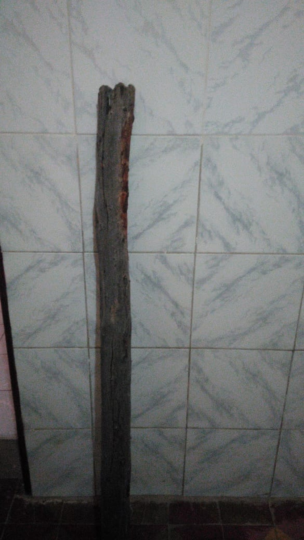 Estaca foi usada para matar a vítima.  — Foto: Divulgação/Polícia Civil