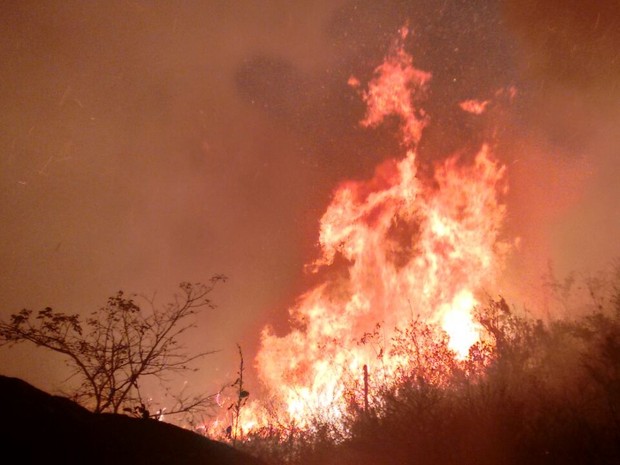 Incêndio florestal de grande proporção atingiu o Pico do Jabre, na Paraíba (Foto: Rafaela Gomes/TV Paraíba)