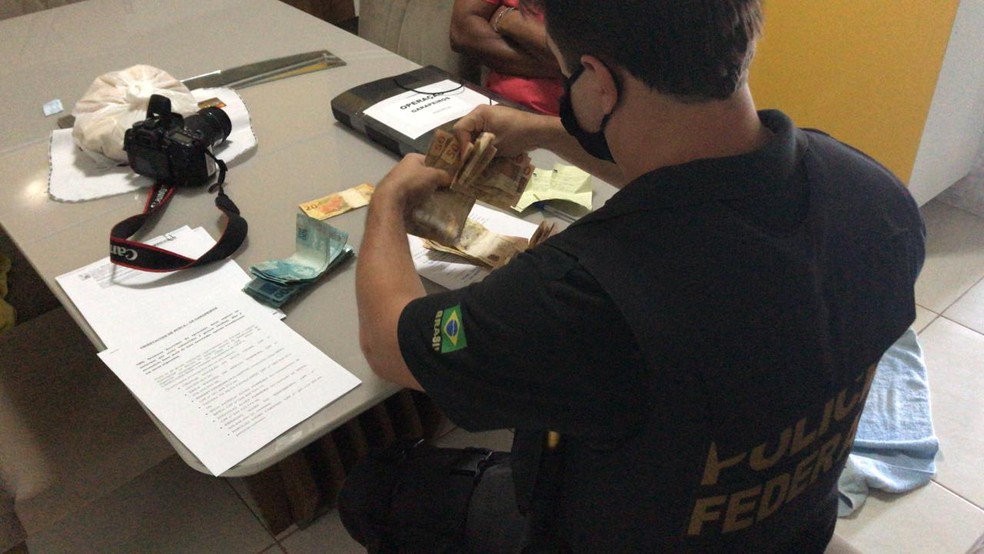 Todo material apreendido foi levado para a sede da PF em AL — Foto: Polícia Federal