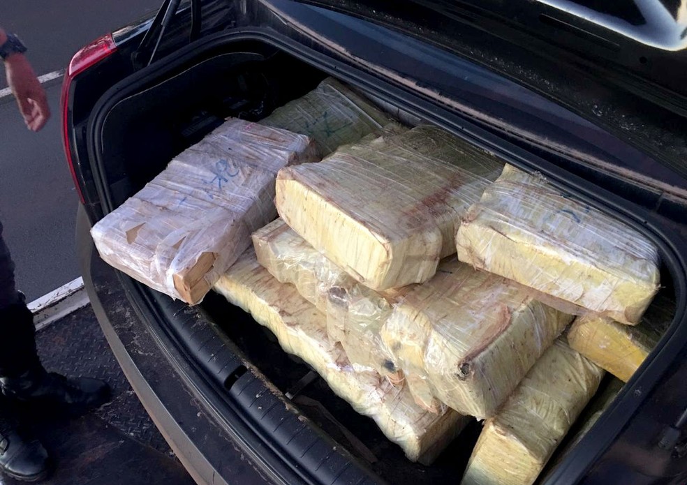 Segundo a polícia, os 330 quilos de maconha seriam levados até o aeroporto de Viracopos, em Campinas — Foto: Polícia Rodoviária/Divulgação