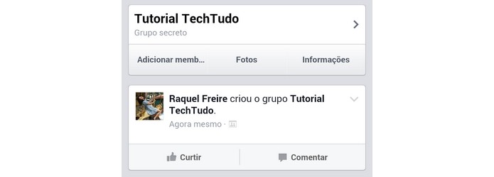 Tela confirmando a criação do grupo no Facebook (Foto: Reprodução/ Raquel Freire)