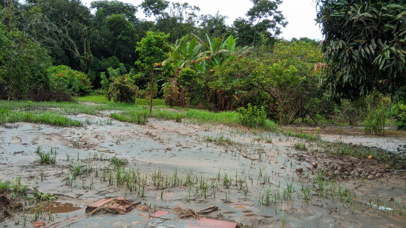 Após casas e plantações serem tomadas pela lama, moradores de Mário Campos enfrentam dificuldade para retomar vida