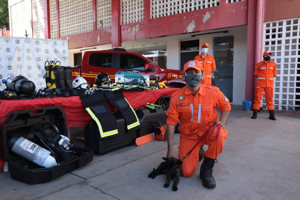Thor, 1º cão de resgate e salvamento do estado — Foto: Divulgação/Bombeiros do Piauí