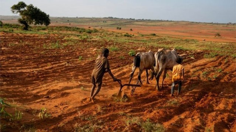 Secas sucessivas secaram completamente o solo no sul do país. — Foto: Ocha/Reuters/Via BBC
