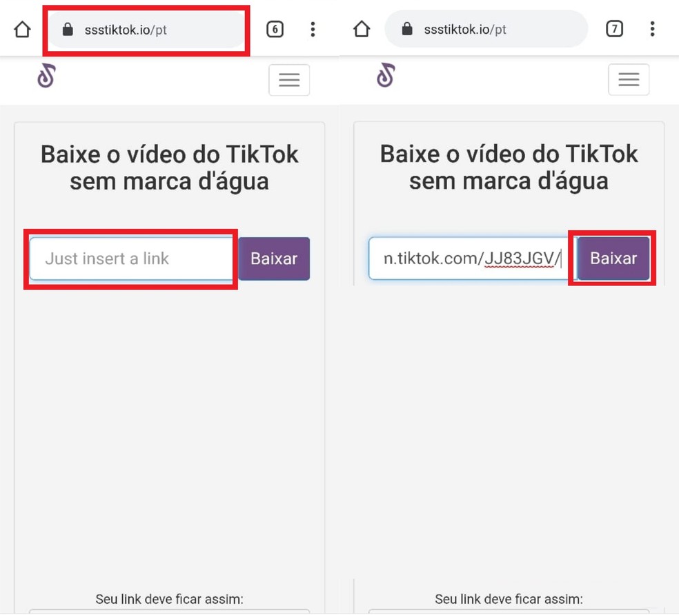 Acesse o site (ssstiktok.io/pt) e insira o link no local indicado — Foto: Reprodução/Clara Fabro