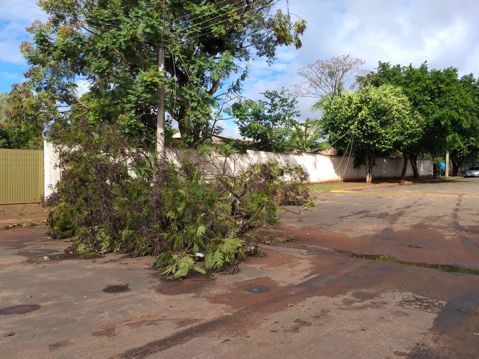 Estragos causados pela chuva foram registrados em Teodoro Sampaio — Foto: Heloise Hamada/TV Fronteira