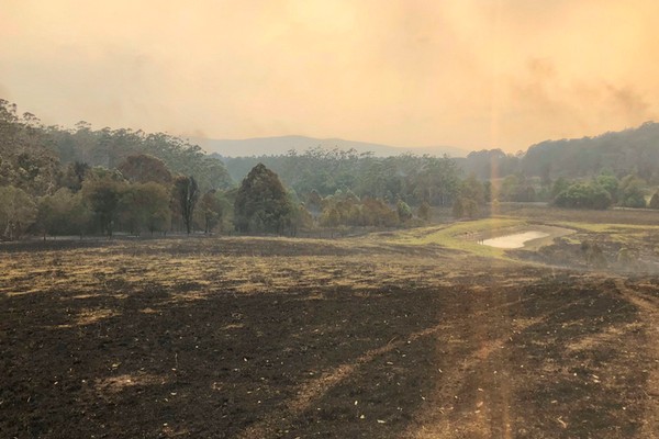 O terreno da casa do ator Russell Crowe atingindo pelos incêndios que ocorrem no sul da Austrália (Foto: Twitter)