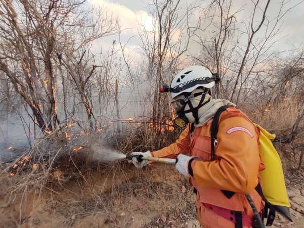 Bombeiros contabilizam menos ocorrências de incêndios em vegetação nos quatro primeiros meses deste ano. — Foto: Corpo de Bombeiros/Divulgação