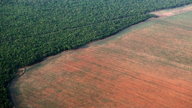 O acordo incluiu em seus termos compromissos de proteção ambiental (Foto: REUTERS/PAULO WHITAKER/ via BBC News Brasil)