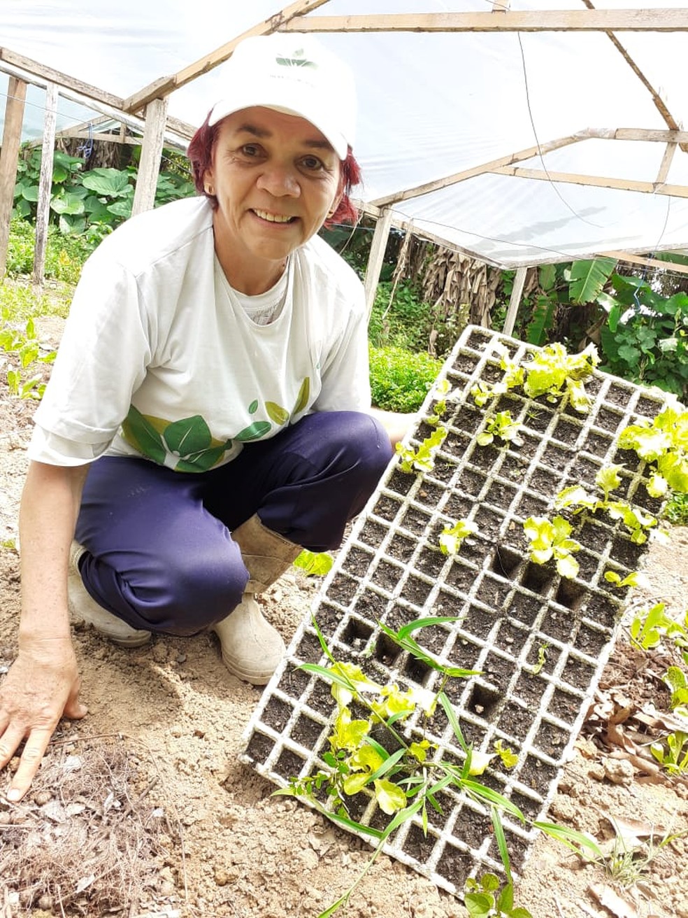 Nazira toca sozinha uma terra de quase 9 hectares e criou rede de produção — Foto: Arquivo pessoal 