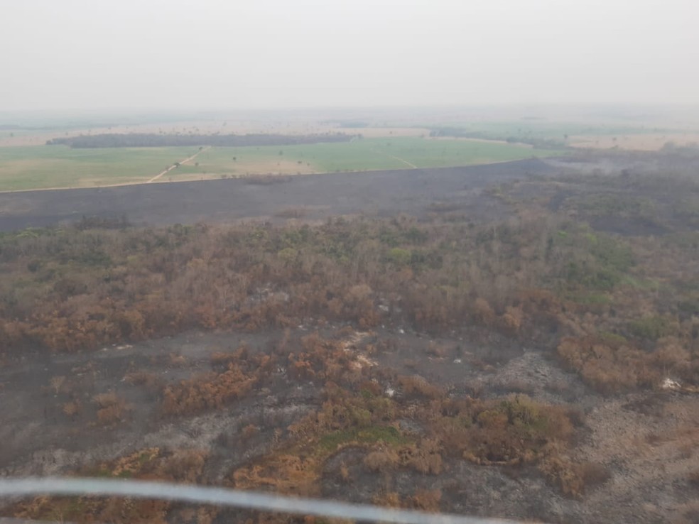 Incêndio atinge Parque Estadual do Aguapeí — Foto: Defesa Civil