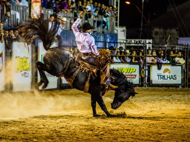 Rodeio em cavalos