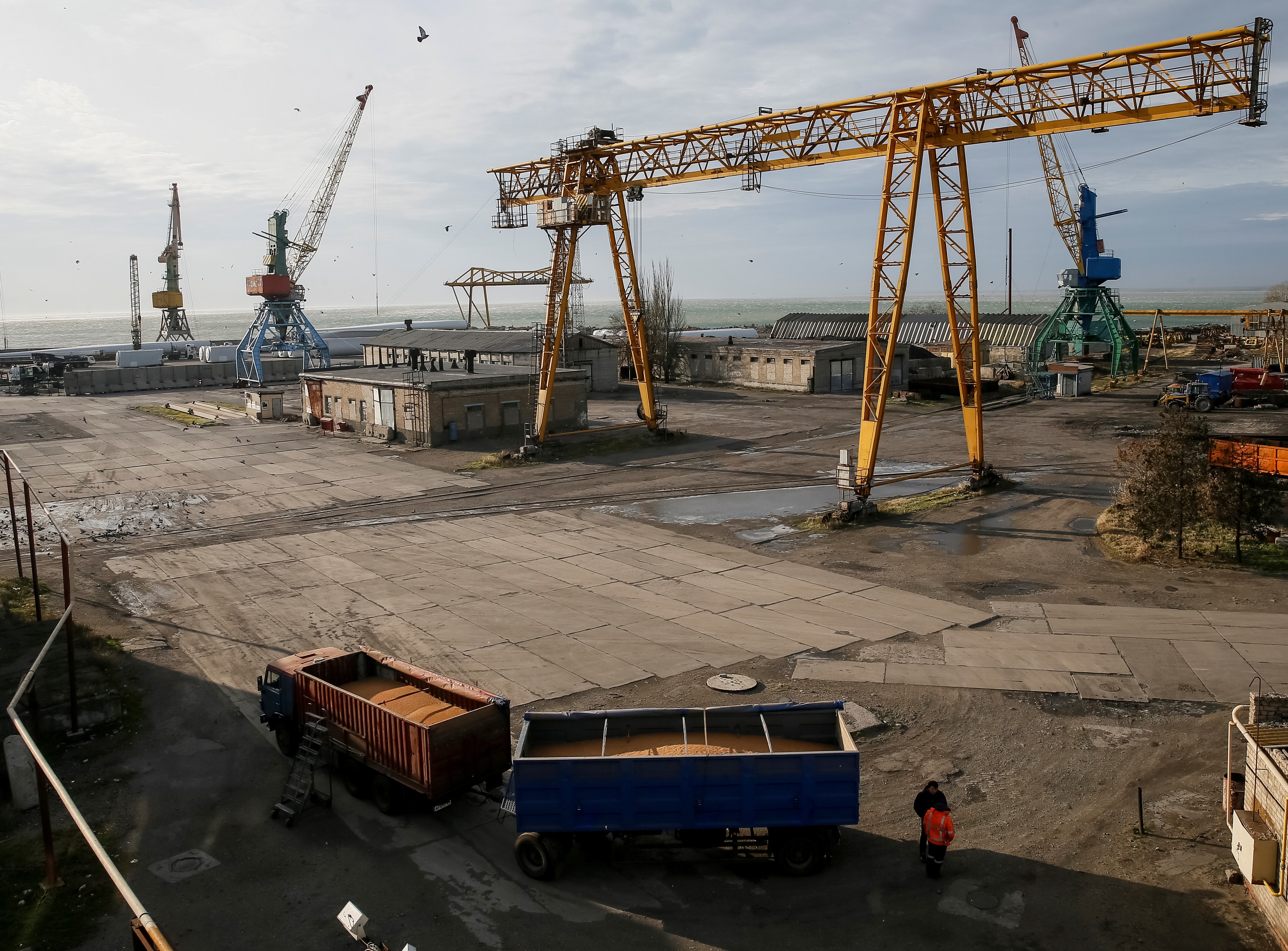 Vista do porto de Berdyansk, na Ucrânia  (Foto: REUTERS/Gleb Garanich)