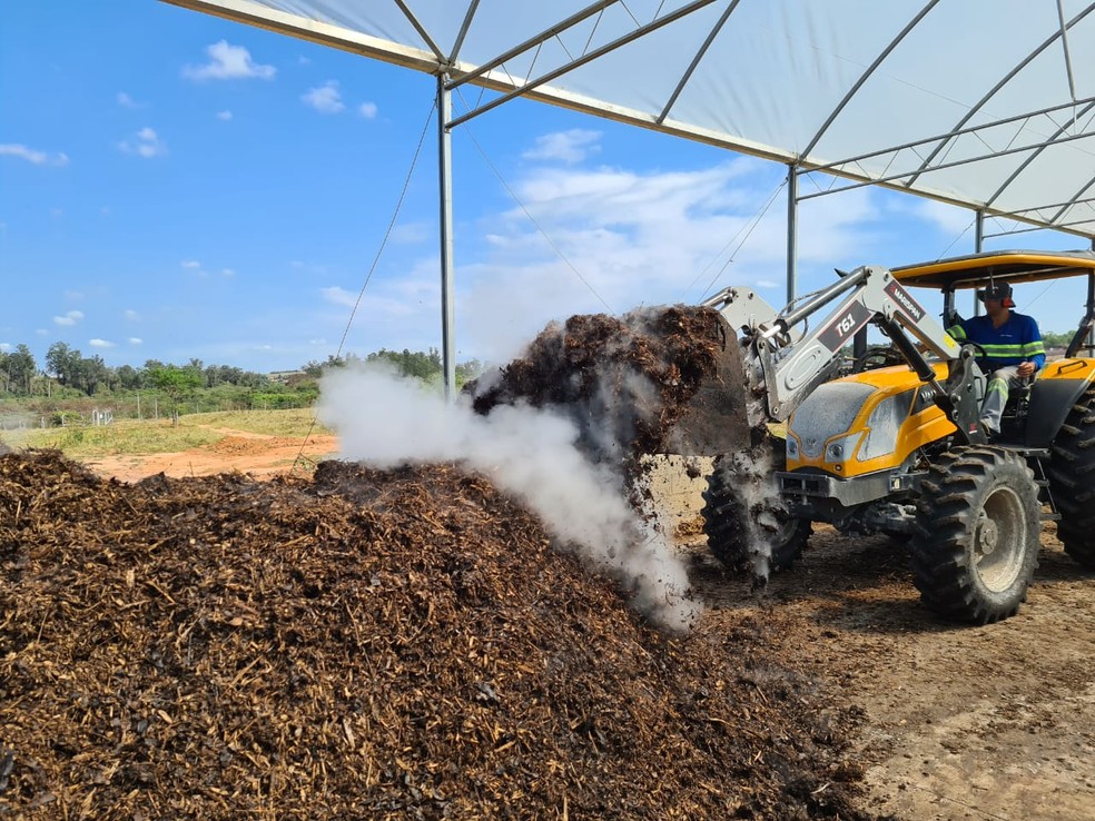 Produção de compostagem  — Foto: Edna Ivani Bertoncini/APTA