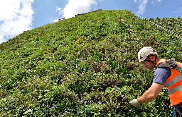 Funcionários cuidam do jardim gigante (Foto: Divulgação)