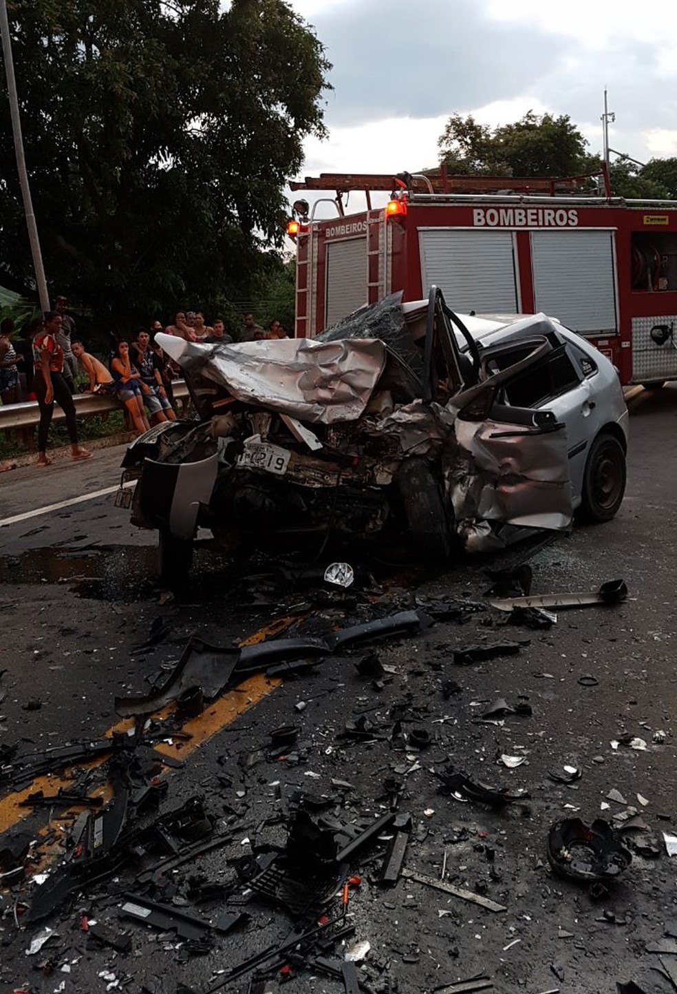 Acidente deixa seis mortos na BR-393, em Três Rios (Foto: Valber Matias/TV Rio Sul)