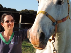 Cavalo Pantaneiro se destaca por ter aptidões - SBA1