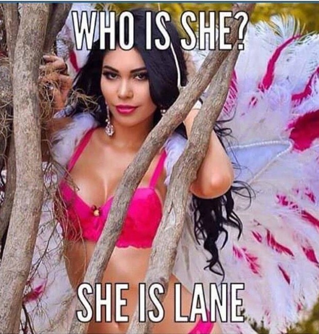 Meme satiriza o nome da vice com a frase "She is Lane" (Ela é Lane) (Foto: Reprodução/internet) (Foto: Reprodução/internet)