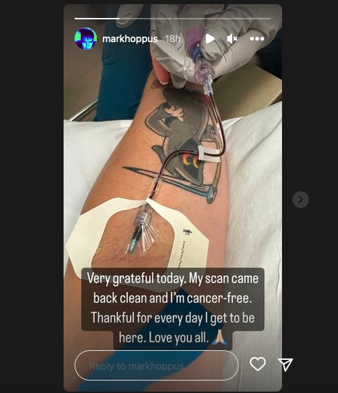 Baixista do Blink-182, o músico Mark Hoppus revelou estar 100% curado de um linfoma (Foto: Instagram)