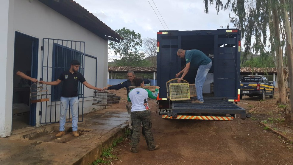 Operação ocorreu em treze cidades do oeste da Bahia — Foto: Divulgação/PRF
