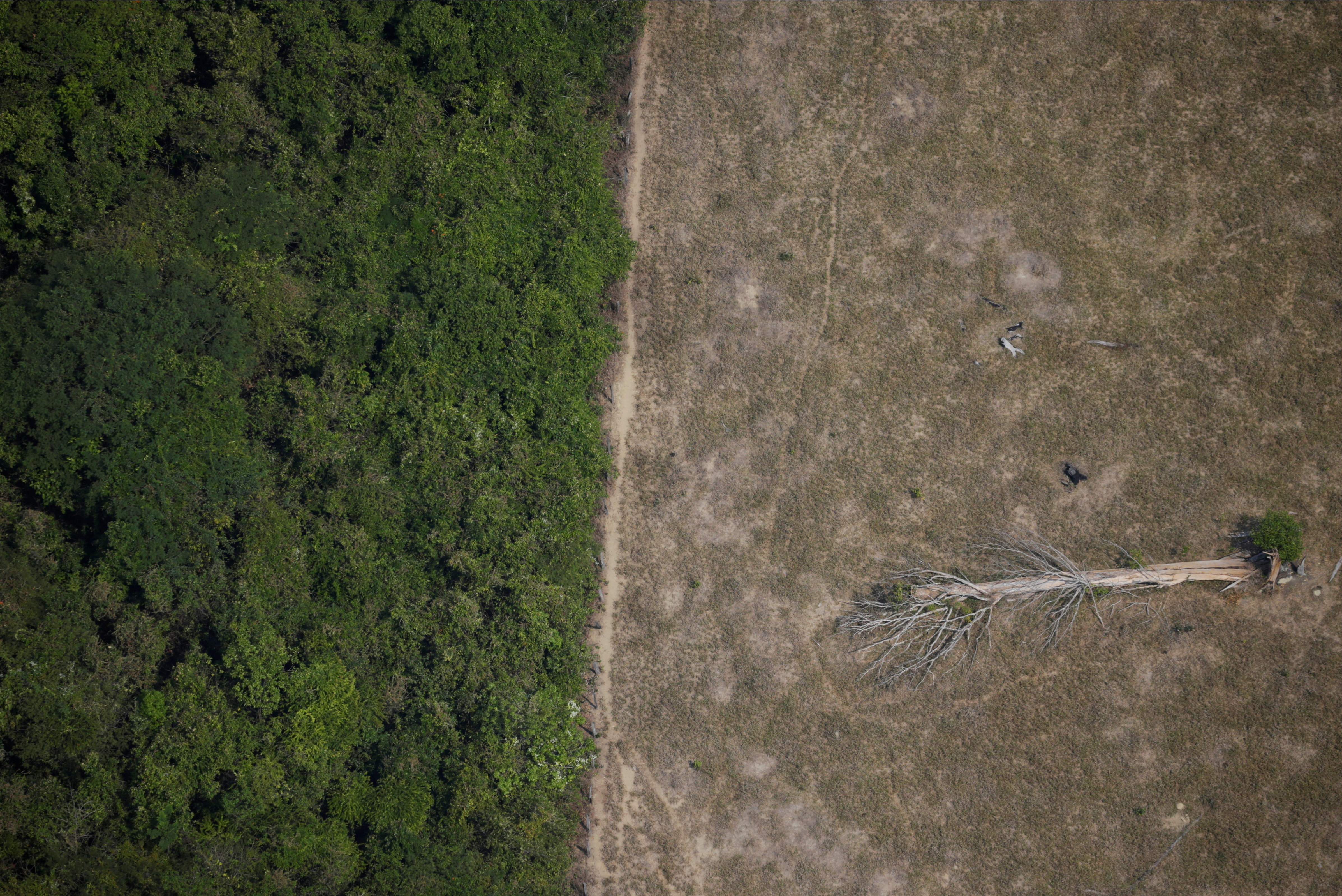 Área desmatada da Amazônia perto de Porto Velho, em Rondônia (Foto: REUTERS/Ueslei Marcelino)