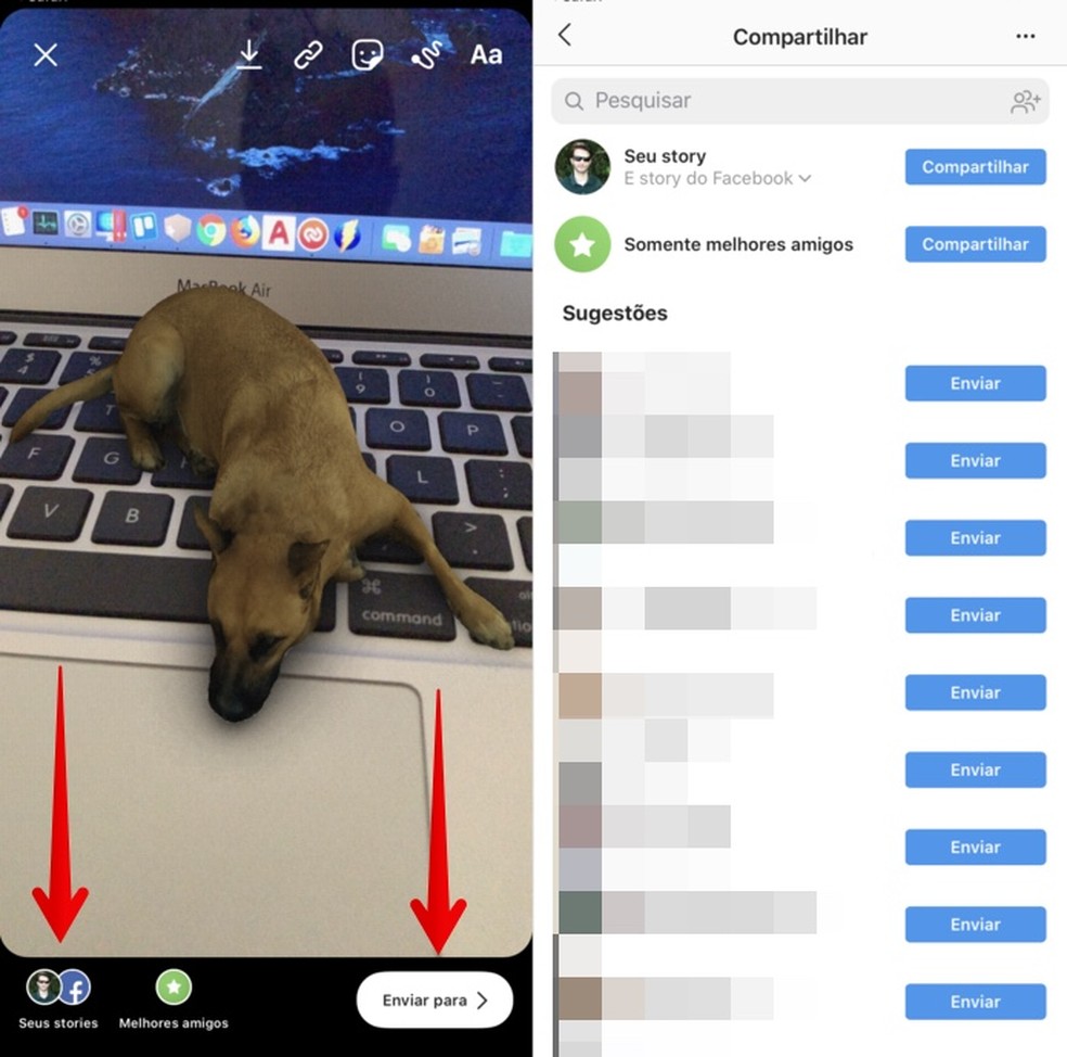 Filtro De Cachorro No Instagram Como Usar O Efeito Sasha Dog