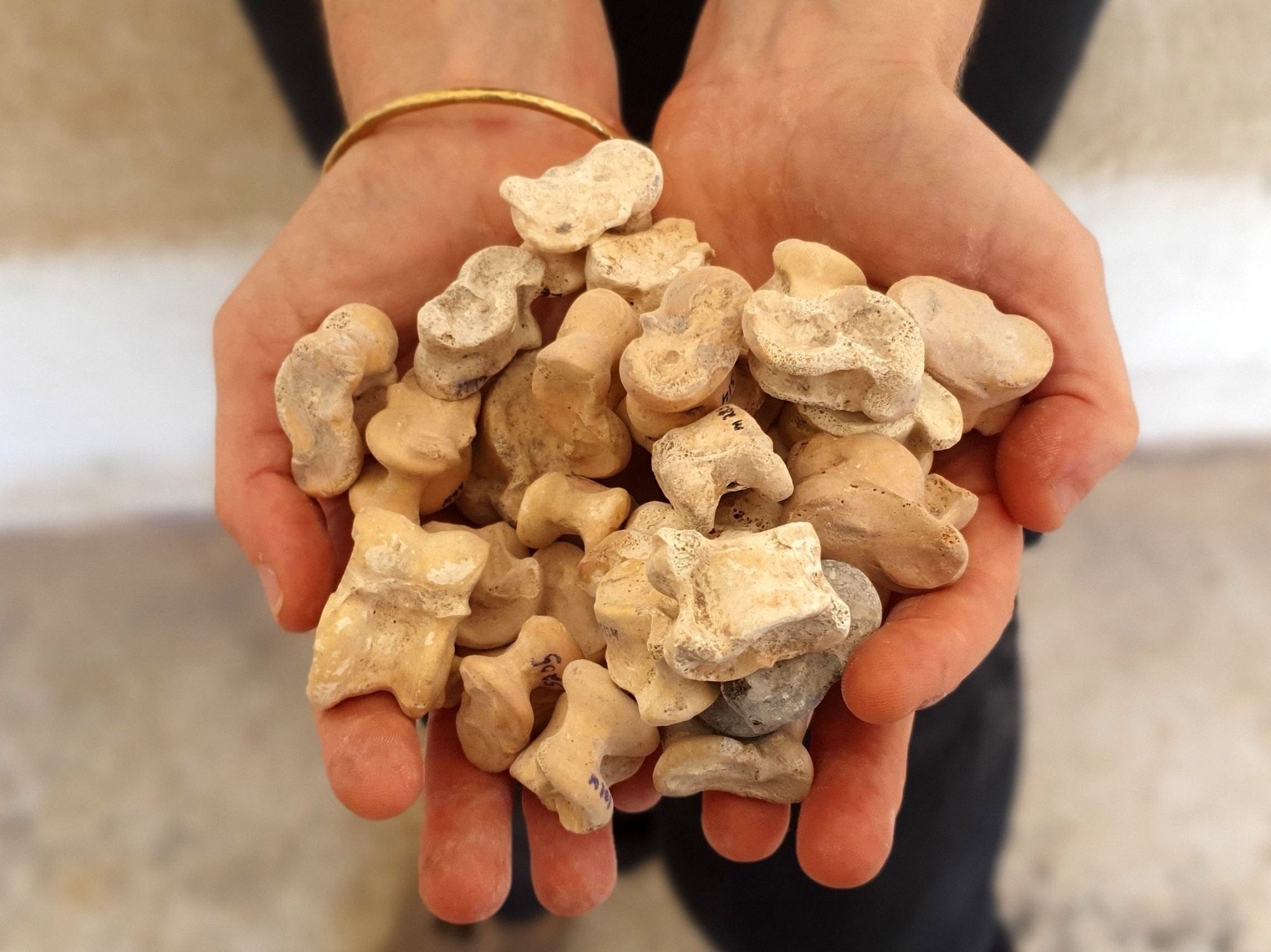 Rara coleção de dados feitos de ossos do período Helenístico foi encontrada em Israel  (Foto: Israel Antiquities Authority/Reprodução/Facebook)
