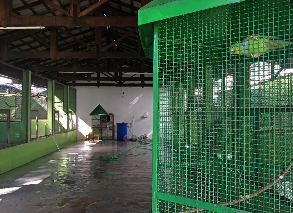 Cetas foi instalado no Hospital Veterinário da Cidade da Criança em Presidente Prudente — Foto: Stephanie Fonseca/G1