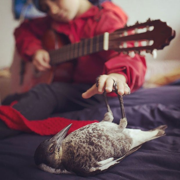 Penguim, o corvo (Foto: Instagram / Reprodução)
