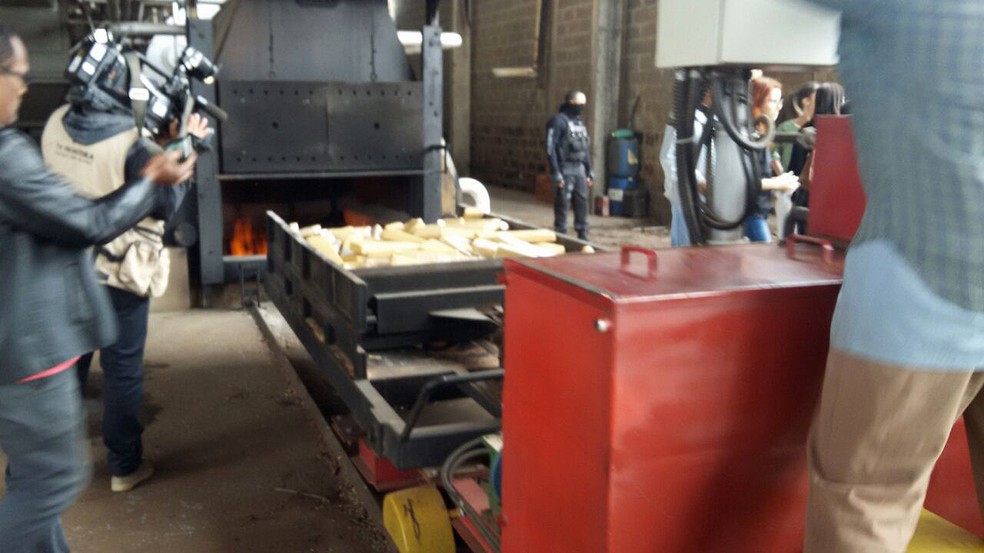 Incineração foi realizada nesta quinta-feira (3), em Presidente Prudente (Foto: Kawanny Barros/TV Fronteira)