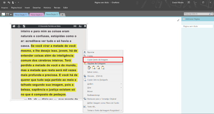 Clique na imagem com o botão direito do mouse e selecione “Copiar Texto da Imagem” (Foto: Reprodução/Daniel Ribeiro)
