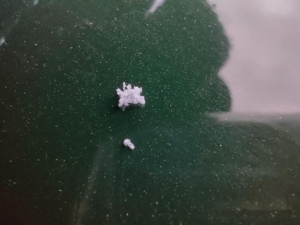 Flocos de neve em São Joaquim (SC) — Foto: Fernanda Oliveira/Arquivo Pessoal