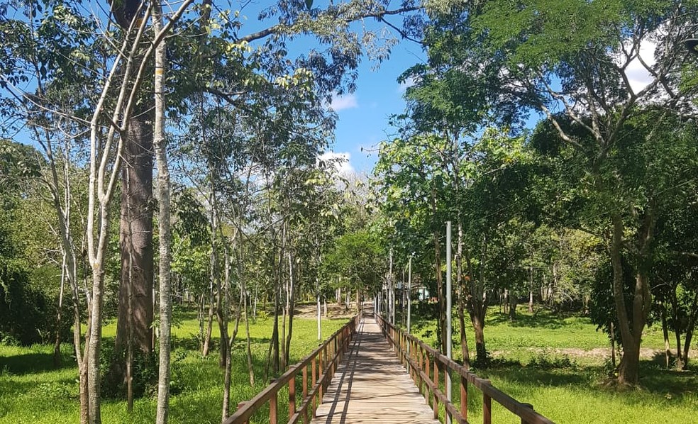 Parque Capitão Ciríaco, em Rio Branco passa por revitalização e reflorestamento  — Foto: Arquivo/Embrapa