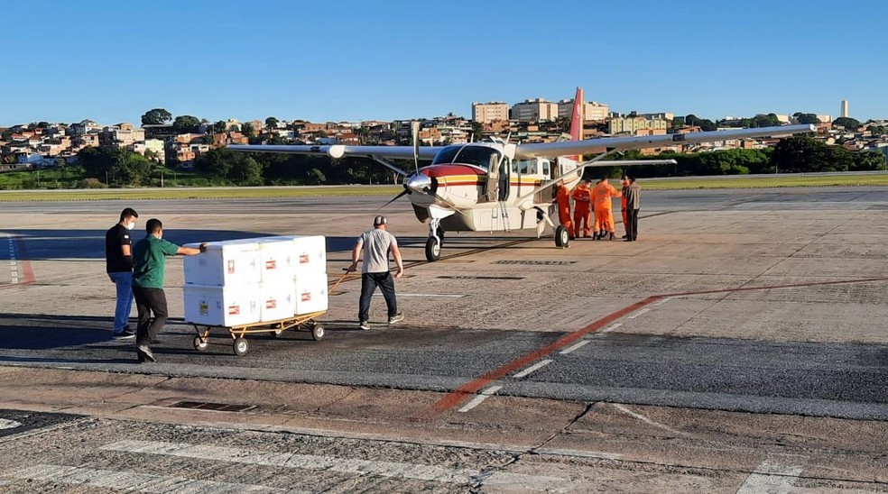 Avião do Corpo de Bombeiros é carregado com CoronaVac — Foto: Lucas Franco/TV Globo