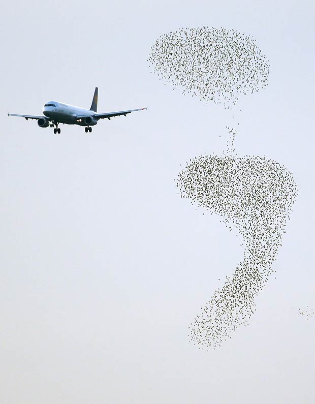 Bando de estorninhos forma sinal de ponto e vírgula no céu da capital italiana, ao lado de um avião se aproximando para o pouso (Foto: Max Rossi/Reuters)