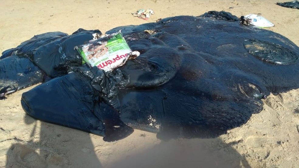Óleo é acondicionado em sacos plásticos em Pernambuco — Foto: José Dilermando/TV Globo