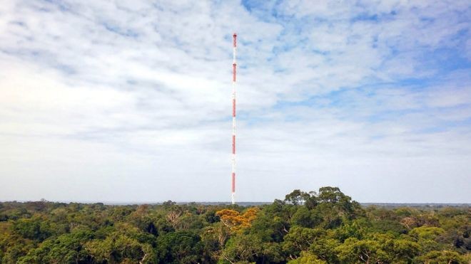 The Amazon Tall Tower (ATTO), torre de mediação atmosférica em Manaus utilizada pelos cientistas do projeto GoAmazon (Foto: Jorge Saturno via BBC)