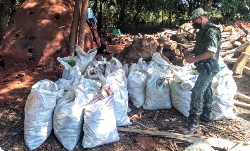Mais de uma tonelada de carvão vegetal foi apreendida durante operação — Foto: Polícia Ambiental