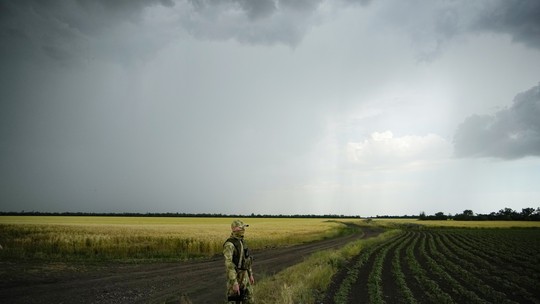 Guerra puxará nova queda na colheita de grãos na Ucrânia