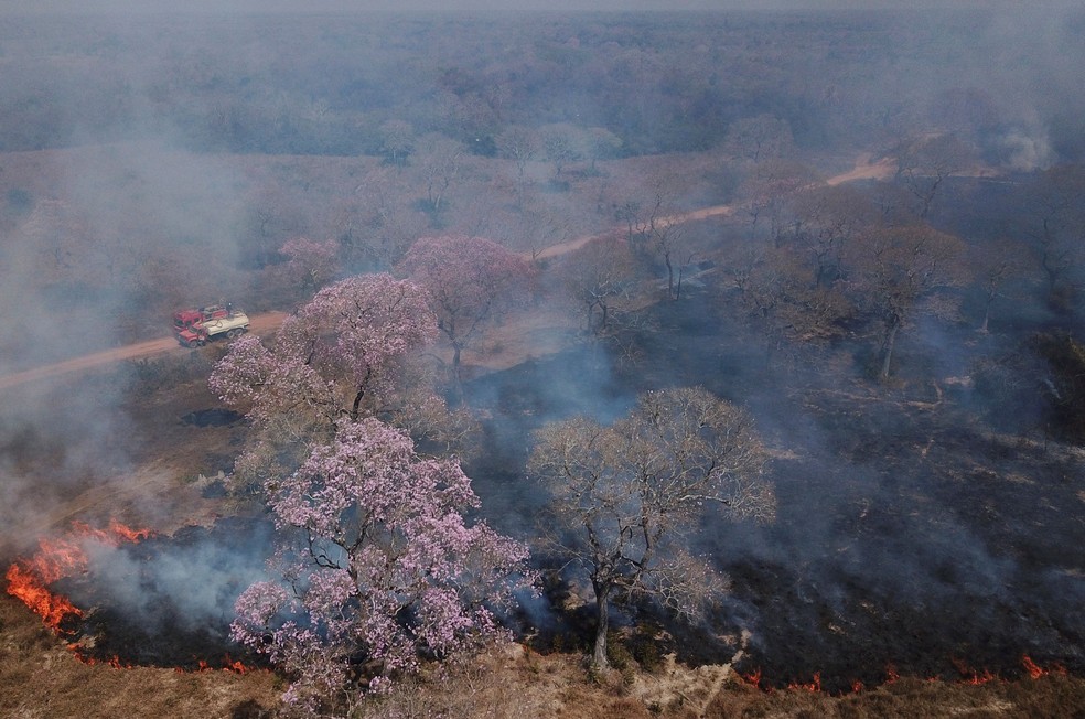 Foto feita com drone mostra vegetação queimando no Pantanal em Poconé (MT), no dia 31 de agosto. — Foto: Amanda Perobelli/Reuters