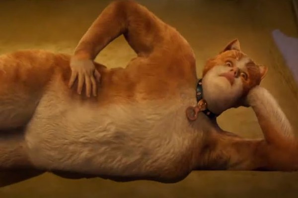 Rebel Wilson em Cats (2019) (Foto: reprodução)
