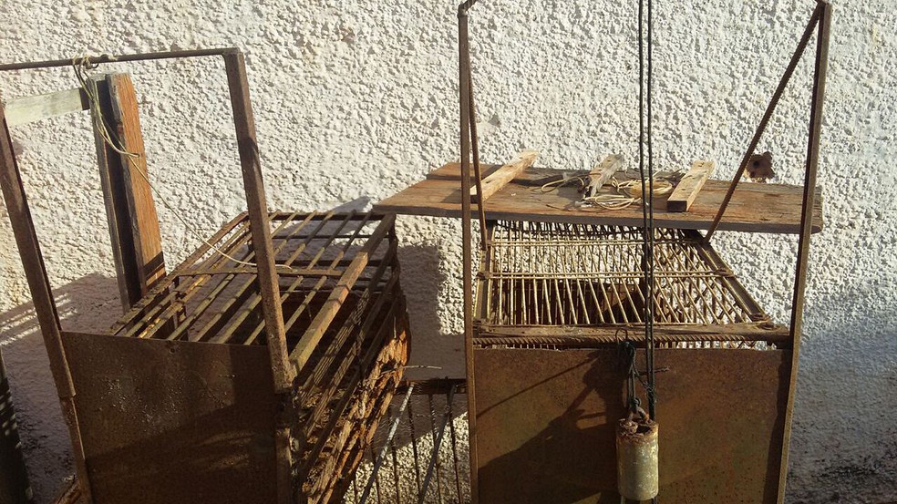 Ocorrência foi registrada em Pacaembu (Foto: Polícia Ambiental/Cedida)