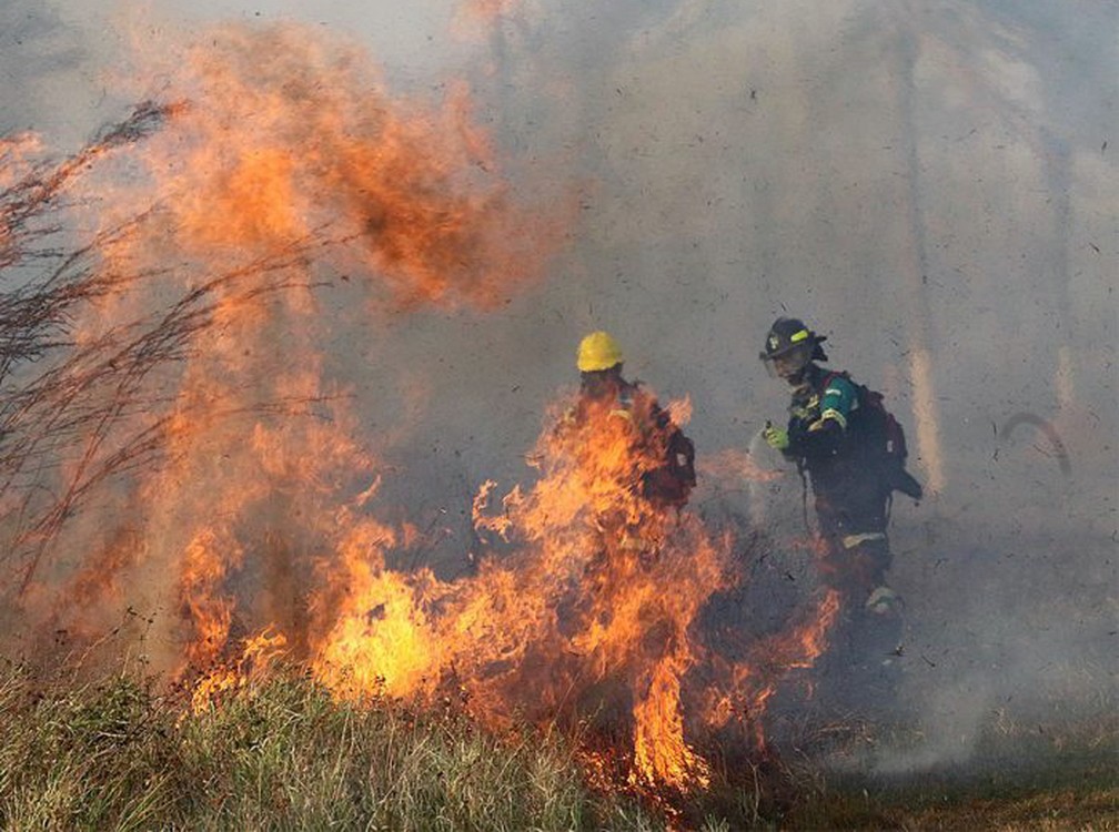 Bombeiros combatem o fogo em Robore, na provÃ­ncia de Santa Cruz, na BolÃ­via â?? Foto: DivulgaÃ§Ã£o/MinistÃ©rio Defesa BolÃ­via