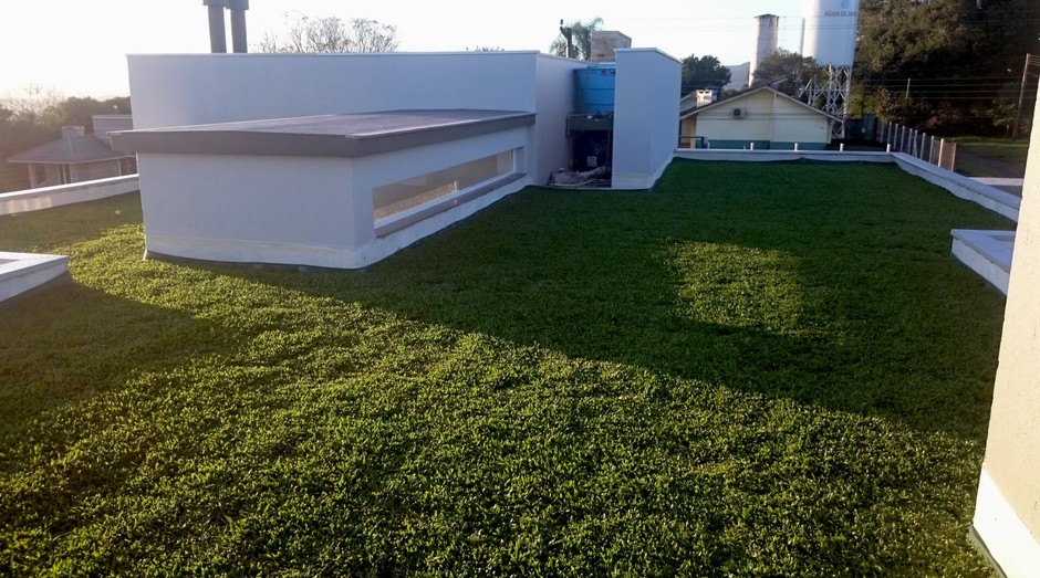 O telhado verde é o carro-chefe da Ecotelhado (Foto: Divulgação)