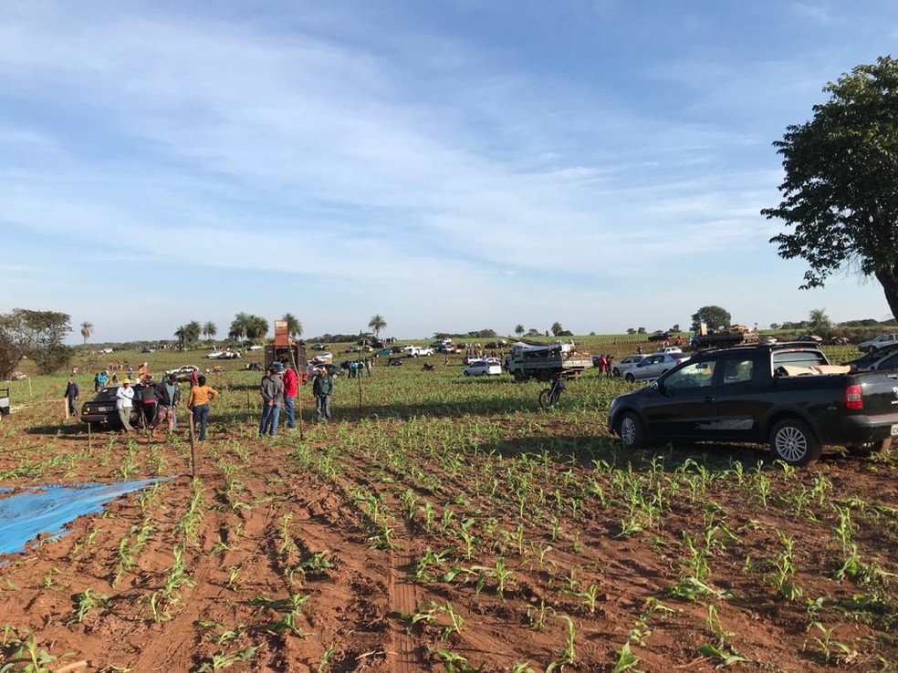 Integrantes da FNL ocupam nova área em Sandovalina — Foto: Willian Santos 
